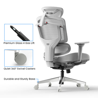 APEX+ Ascent Ergonomic Chair