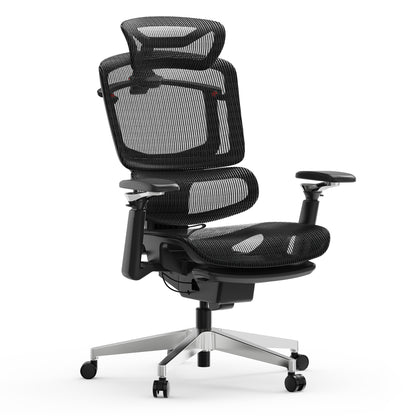 APEX+ Ascent Pro Ergonomic Chair