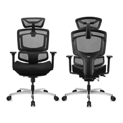 APEX+ Ascent Ergonomic Chair