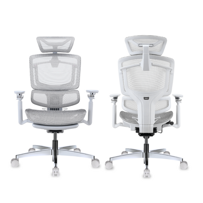 APEX+ Ascent Pro Ergonomic Chair